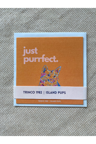 Card with Envelope - Just Purrfect (Orange)